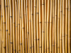 Seasites - Marialien - Bambus